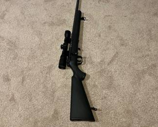 Savage  model 93R17   .17HMR