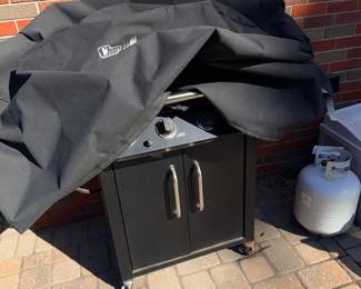 Items Located On The Back Patio