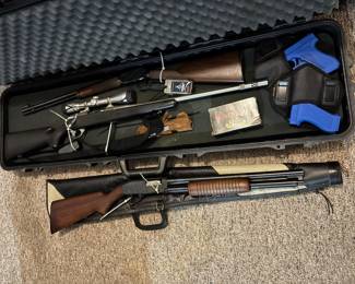 Guns, Rifles & Shotguns