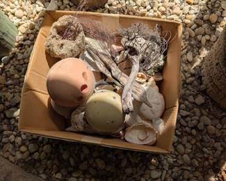 assortment of beach items