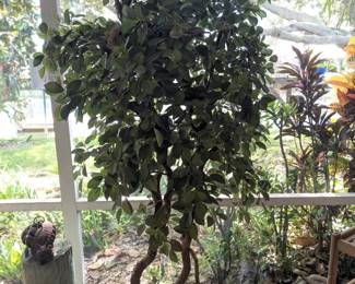Fake Tree