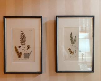 Set of 4 vintage botanicals