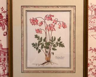 Botanicals