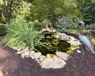 Bronzed heron, birdbaths, bird feeders