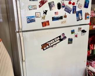 Garage fridge