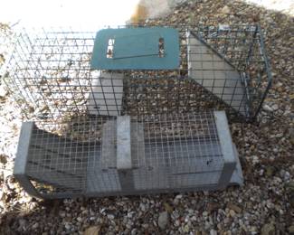 Live traps