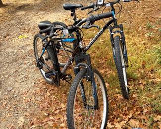 Two matching bikes 