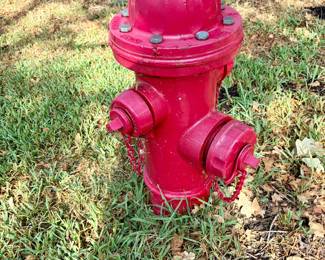 Real fire hydrant 