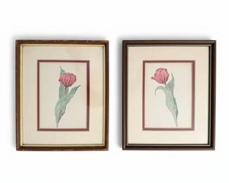 Pair of Vintage Botanical Tulip Watercolor Prints by W. Robins second image
