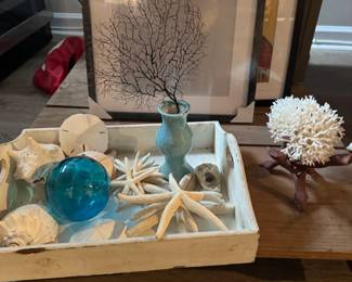 Sea shells for a summer mantle display.