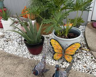 Plants & Yard Art