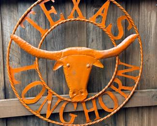 Texas Longhorn
