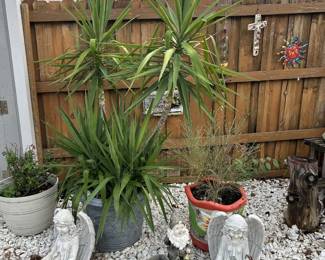 Plants & Yard Art