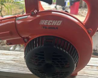 Echo Leaf Blower