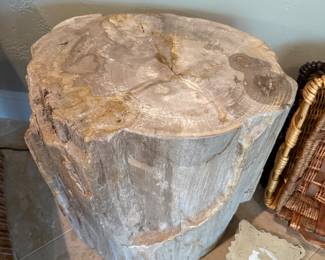Petrified Wood Side Table