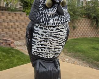 Owl