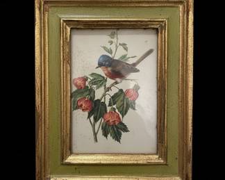 Vintage Bird and Flower Framed Print