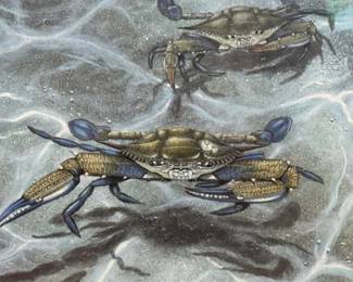 Detail of signed and numbered framed print