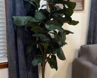Faux fiddle leaf fig tree