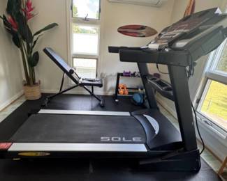 Treadmill, workout bench, rack and dumbbell sets and rubber mats