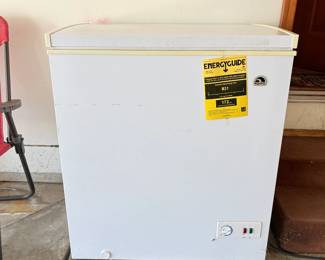 Igloo Freezer