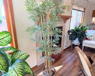 Faux Bamboo Plant