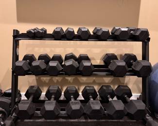Dumbbell Set with Rack.
