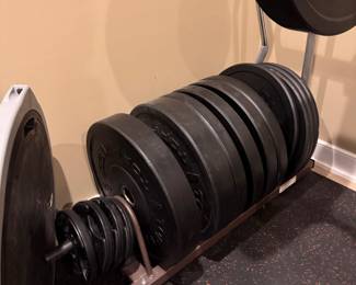 Weights -- 45, 25 & 5 pounds.