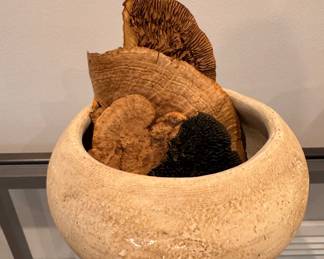 Dried Sponge Mushrooms in Planter.