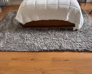 Pottery Barn Dorm Performance Shimmer Shag Rug. Measures 7' x 10'. Photo 1 of 2.