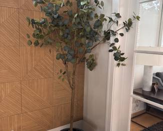 Faux Eucalyptus Tree in Planter.