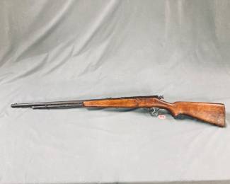 R4.     Springfield/Stevens Range M86