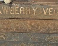 strawberry safe lettering
