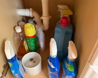 Under-sink cabinet with assorted cleaning supply bottles