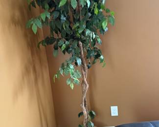 Tall artificial ficus tree in woven wicker basket planter