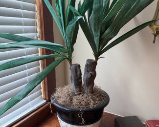Faux yucca plant in carved white and black planter