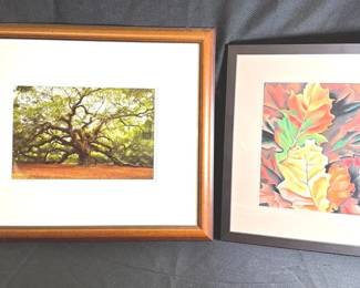 Johns Island Historic Angel Oak Tree Framed  Signed Photograph And Colorful Fall Leaves Print