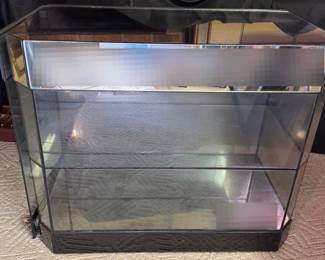 Mirrored Glass Two Shelf Lighted M.I. Hummel Display Case