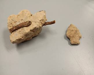 Hag stone & arrow head