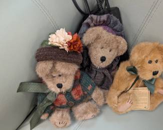 Teddies