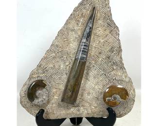Lot 716 Large Orthoceras and Polished Ammonites Fossil Composite Slab and Stand. Comes with Dark Stained Sta