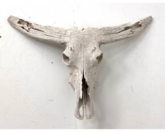 Lot 1059 Weathered Domestic Bovine Skull Specimen with Laterally Projecting Horn Cores and Heavy Surface Text