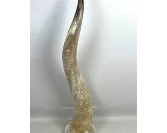 Lot 844 Large Polished African Kudu Horn Sculpture Mounted on Square Clear Acrylic Base