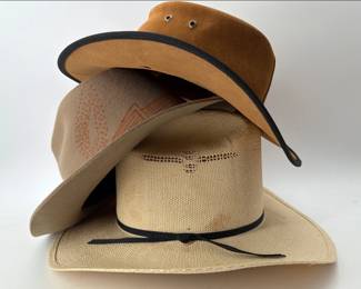 Handsome trio of men's hats