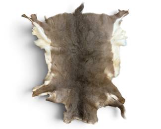 DEER HYDE