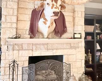 TAXIDERMY LONGHORN