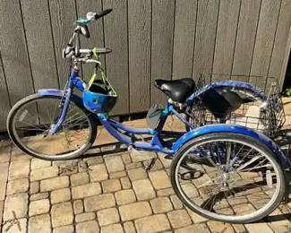 08 Schwinn Meridian Tricycle