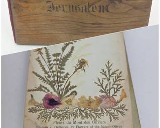 Lot 180 Lot 180 Antique Pressed Flowers Botanical Sample Book Jerusalem Flowers of the Holy Land