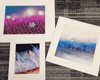 Lot 048 Lot 48 Set of Three Sheila Fuller Signed Nature Macro Photography Fine Art Prints Featur