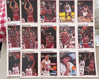 Chicago Bulls NBA Hoops Promotional Sheet Osco Drug Kodak